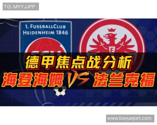 德甲焦点战海登海姆主场迎战弗赖堡全方位赛事分析与预测