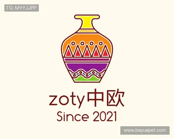 认识zoty中欧体育